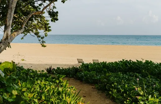 Beach Access
